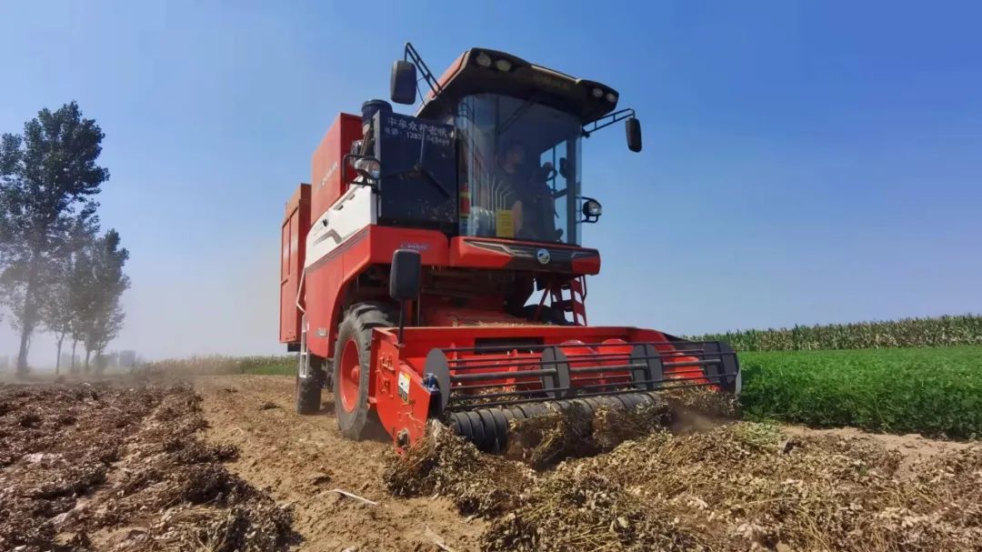 1652263554956048.jpg 511.jpg