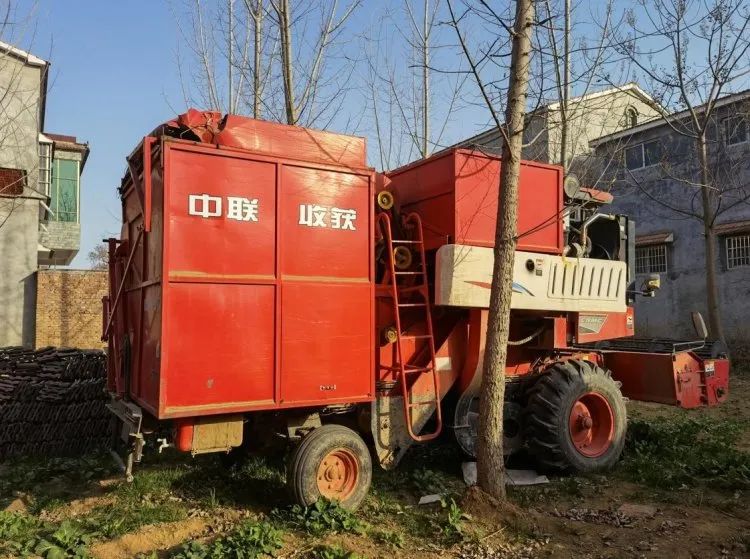 1653999315699689.jpg 531.jpg