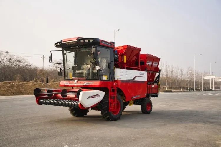 1653999335740395.jpg 533.jpg