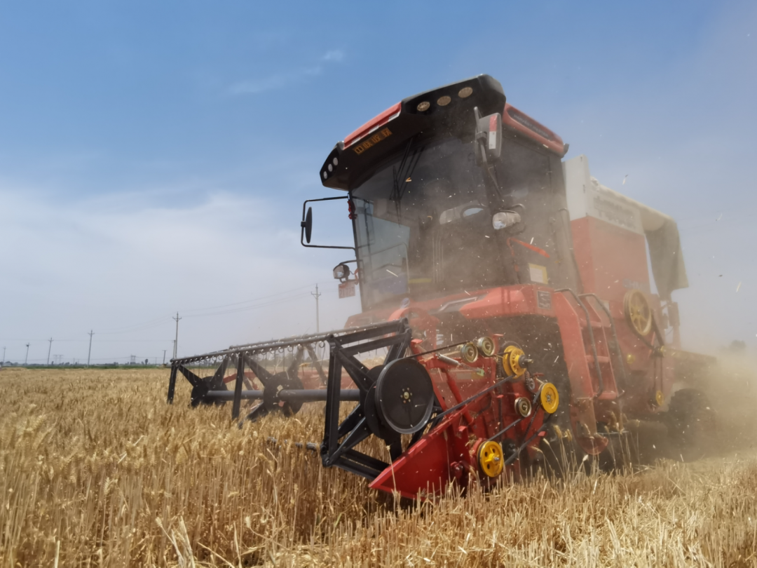 1655897933532189.png 622-2.png