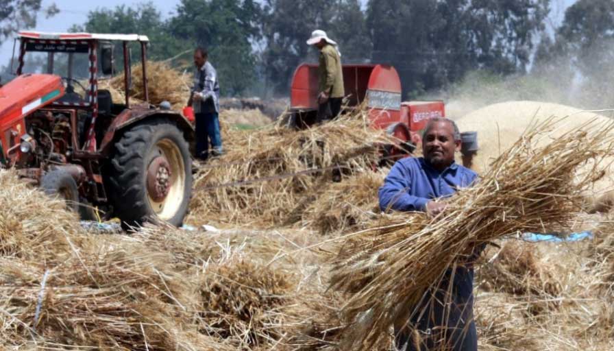 1656416403520514.jpg 3.jpg