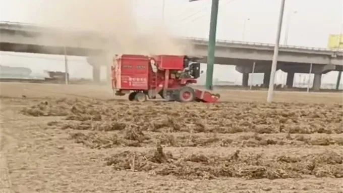 1658145698150371.jpg 718-3.jpg