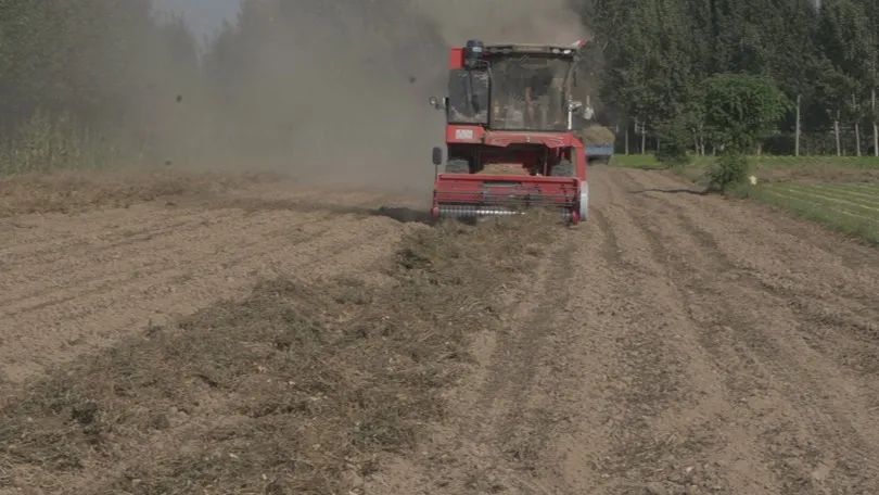 1658145715103071.jpg 718-5.jpg