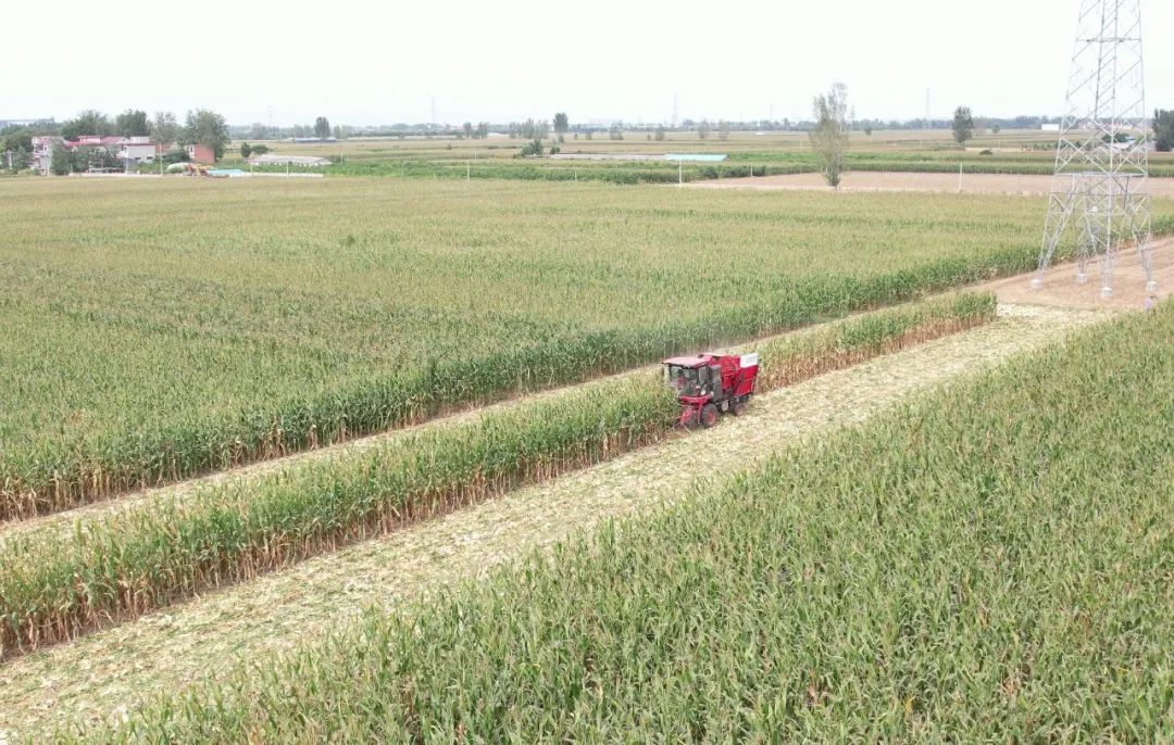 1664448252280410.jpg 929.jpg