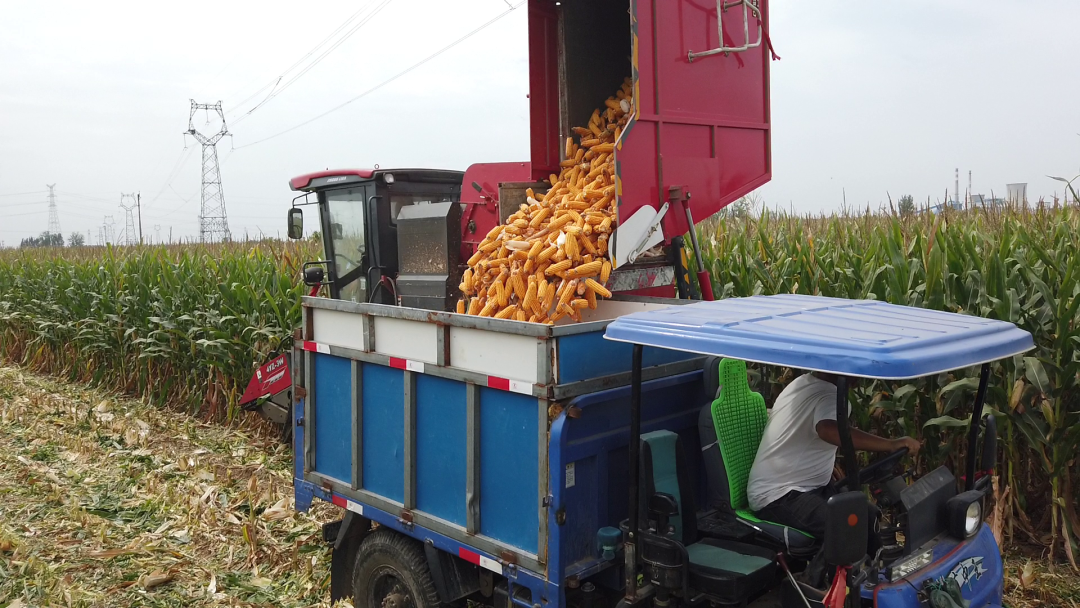 1664448270482034.png 929-1.png