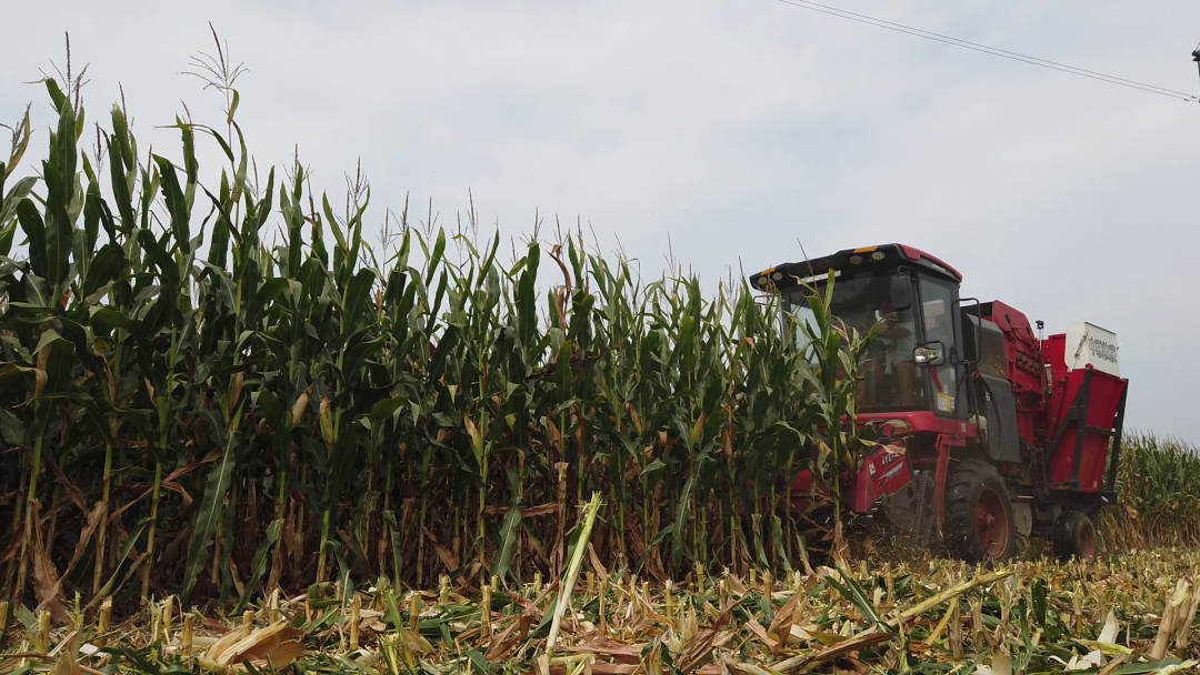 1664448308767936.png 929-2.png