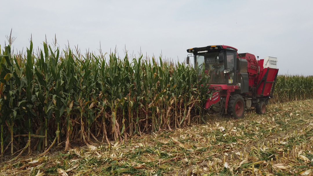 1664448318778051.png 929-3.png