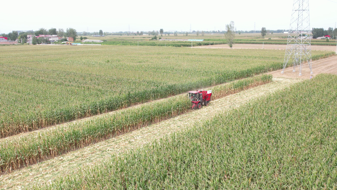 1664536624109779.png 930.png