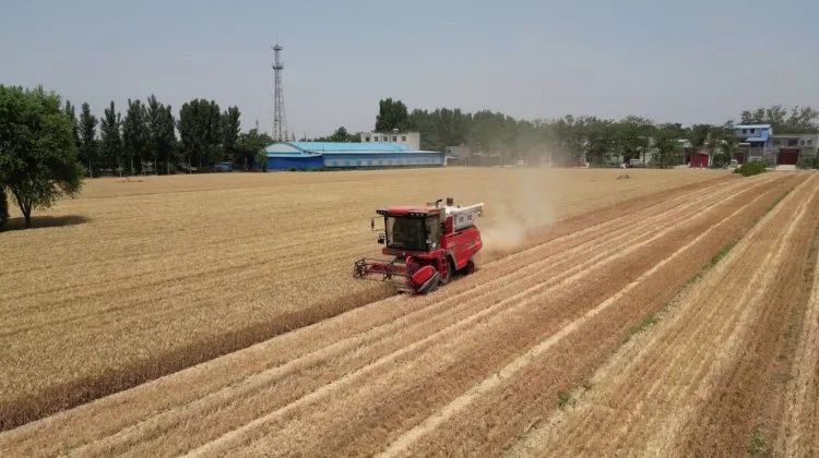 1680093439286792.jpg 329-4.jpg