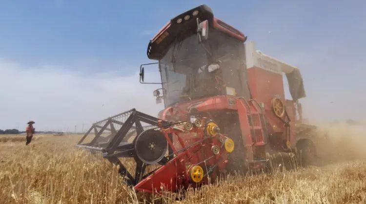 1680093460710628.jpg 329-7.jpg