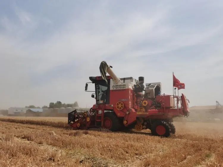 1681091244153229.jpg 410-1.jpg