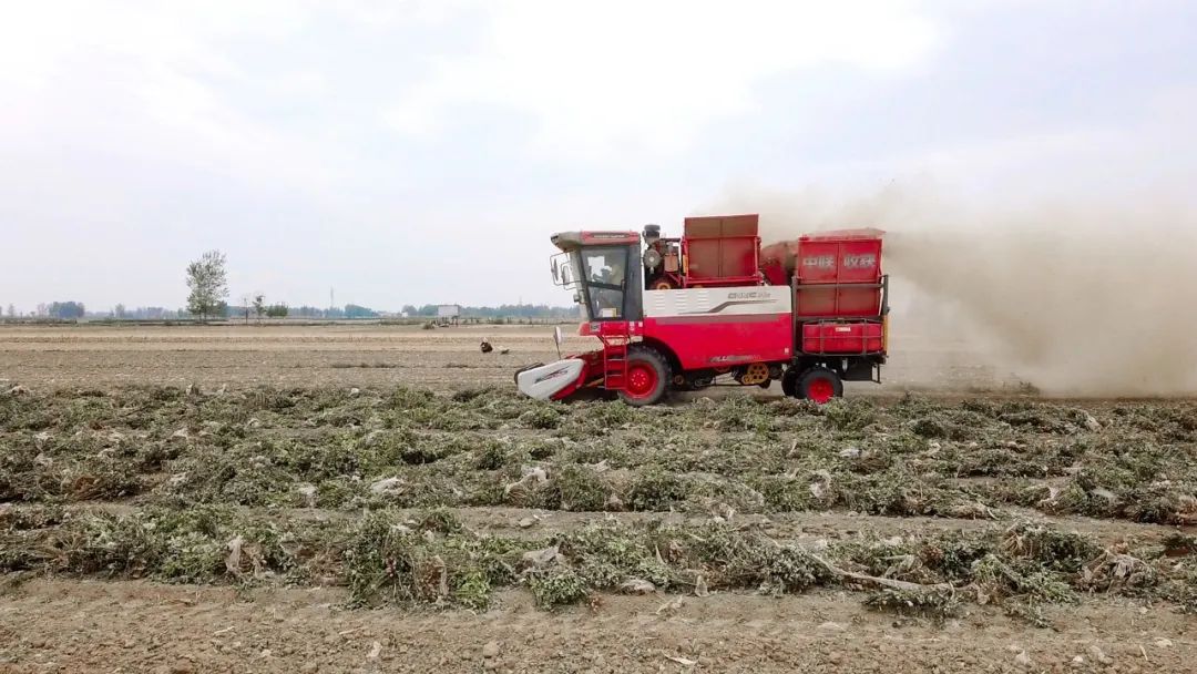 泰安東平呂新春:一小時作業十二畝 信賴中聯日進斗金(圖2) 泰安東平呂新春:一小時作業十二畝 信賴中聯日進斗金(圖2)