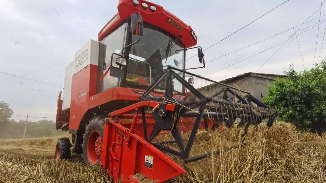 來(lái)自保定華師傅的認(rèn)可:從新疆-7到新疆-9,中聯(lián)收獲一直是我中意的品牌(圖2) 來(lái)自保定華師傅的認(rèn)可:從新疆-7到新疆-9,中聯(lián)收獲一直是我中意的品牌(圖2)