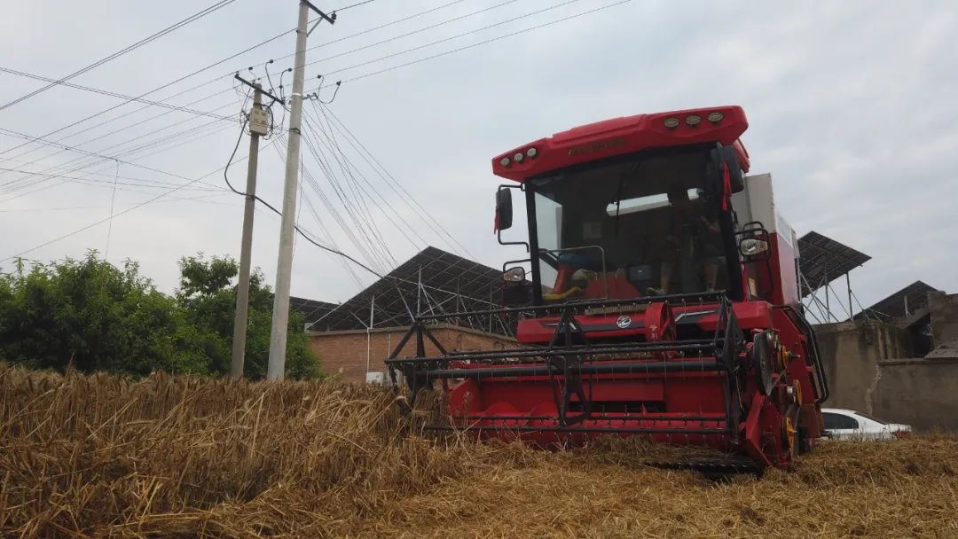 梁山好漢張作斌:實測收割兩千多畝零故障,小麥機買它就對了(圖2) 22.jpg