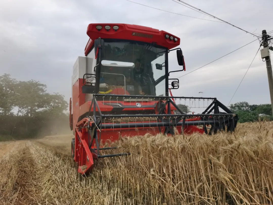 梁山好漢張作斌:實測收割兩千多畝零故障,小麥機買它就對了(圖3) 33.jpg