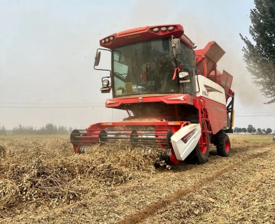 從麥客到花生王：渭南拜師傅的跨賽道致富經
